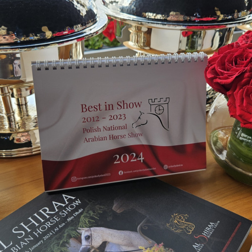 Al Shira'a Arabian Horse Show - ZEA